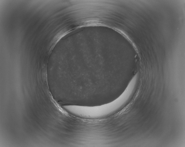 X0000052981289200508051031