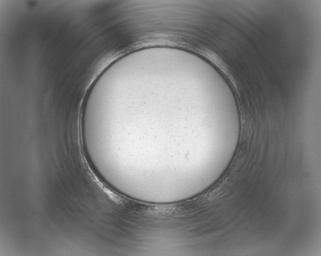 X0000052981290200508051031