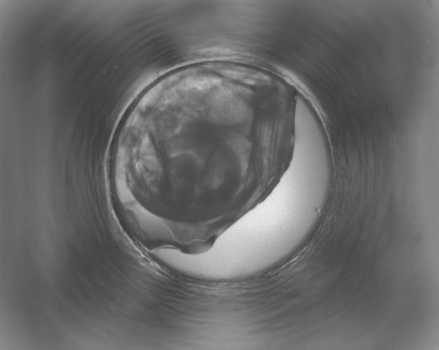 X0000052981291200508051031