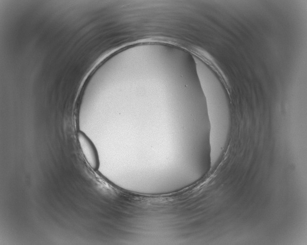 X0000052981292200508051031