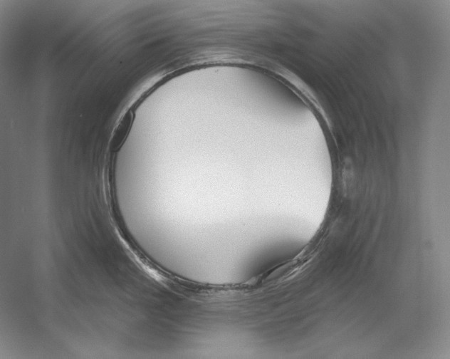 X0000052981293200508051031