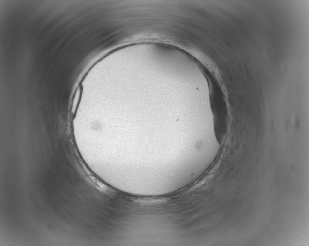 X0000052981296200508051031