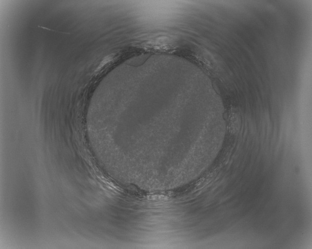 X0000052981297200508051030