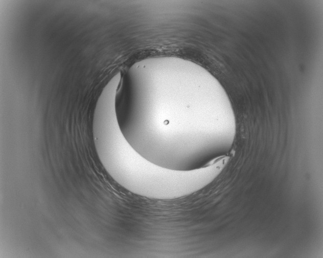 X0000052981298200508051030