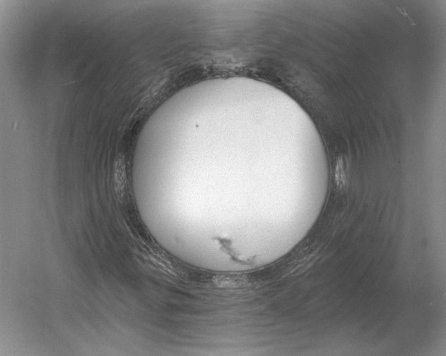 X0000052981299200508051030