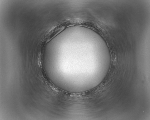 X0000052981301200508051030