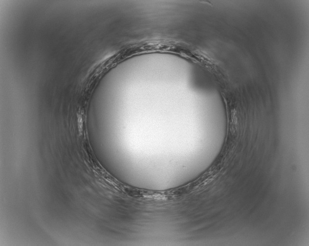 X0000052981302200508051030