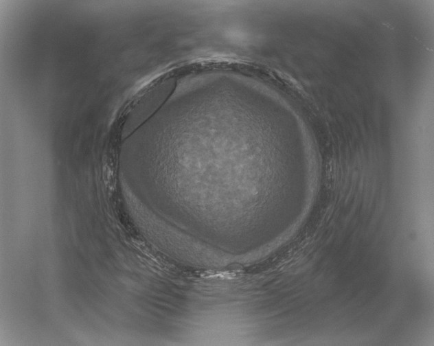 X0000052981303200508051030