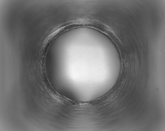 X0000052981304200508051030