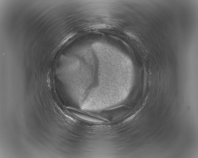 X0000052981305200508051030