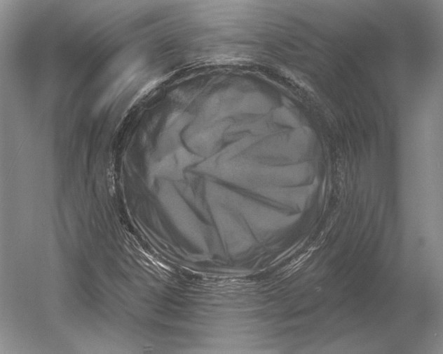 X0000052981306200508051030