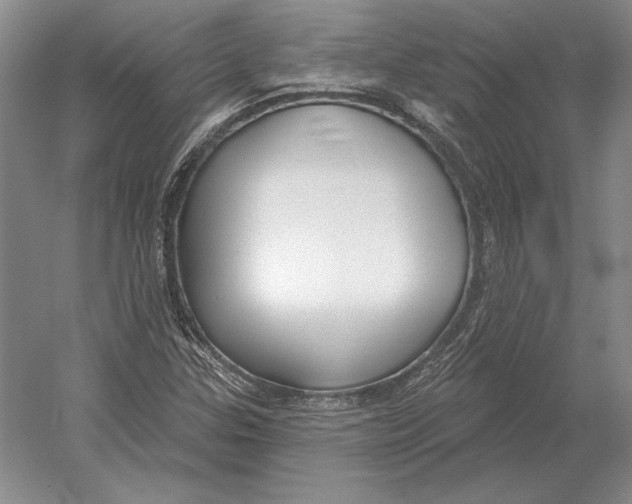 X0000052981307200508051030