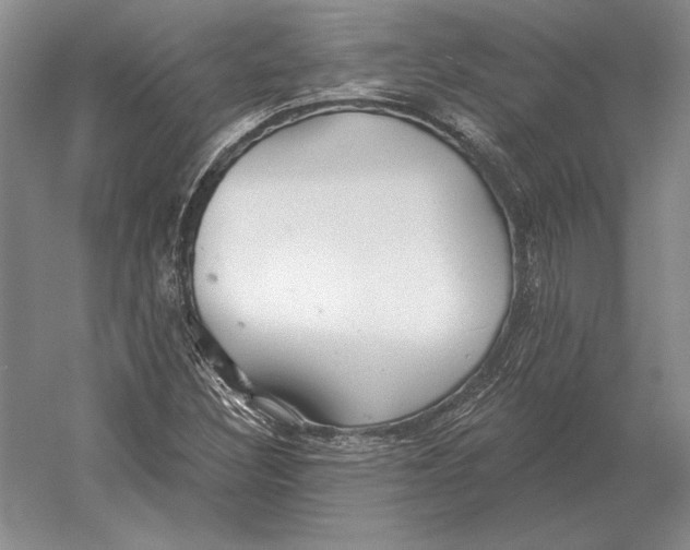 X0000052981308200508051030