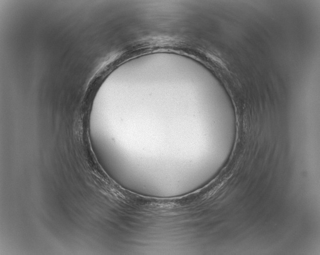 X0000052981309200508051030