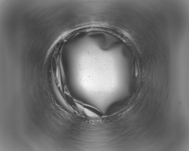 X0000052981310200508051030