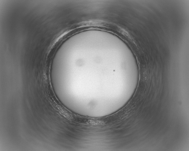 X0000052981312200508051030