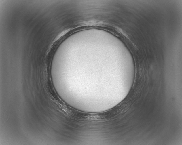 X0000052981315200508051030