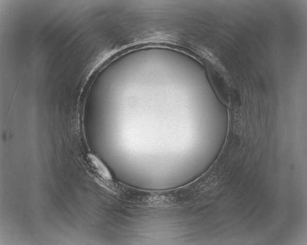 X0000052981316200508051030