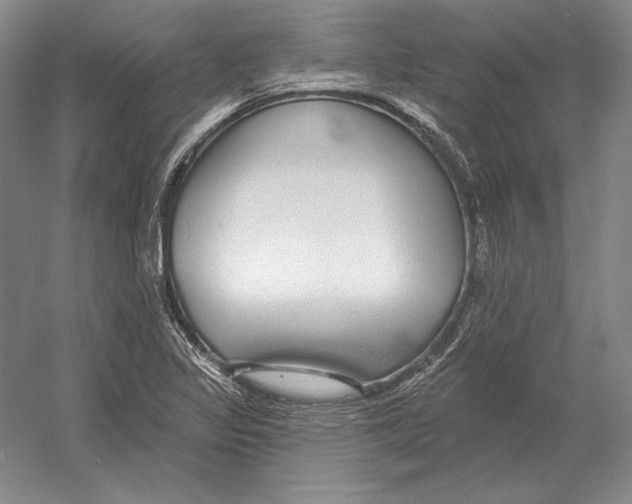 X0000052981317200508051030