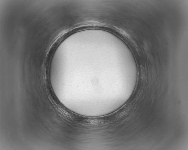 X0000052981318200508051030