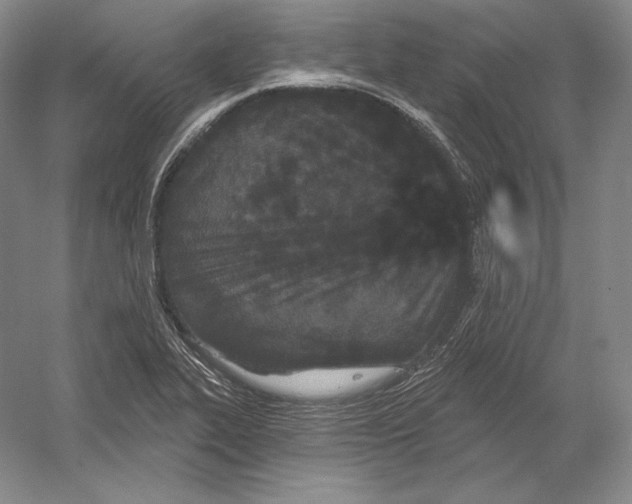 X0000052981319200508051030