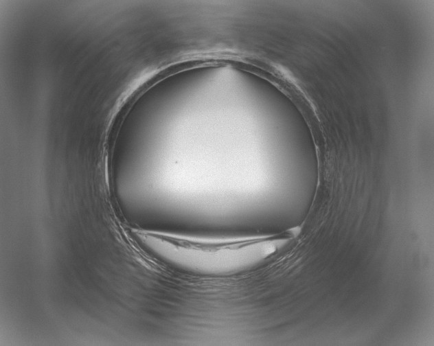 X0000052981320200508051030