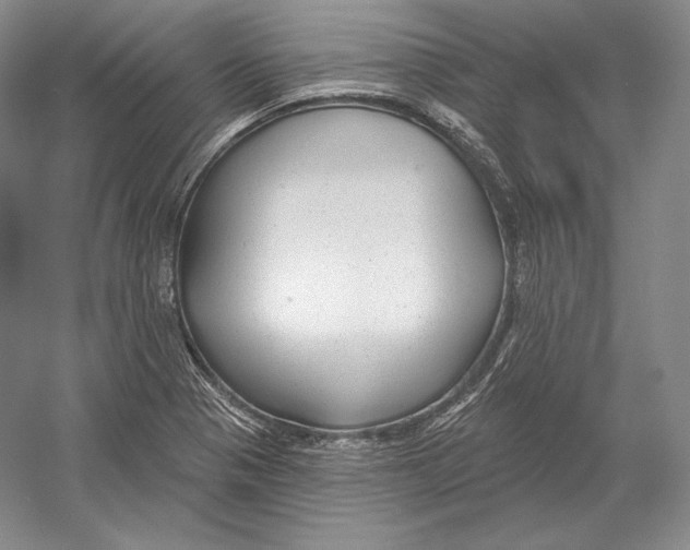 X0000052981321200508051030