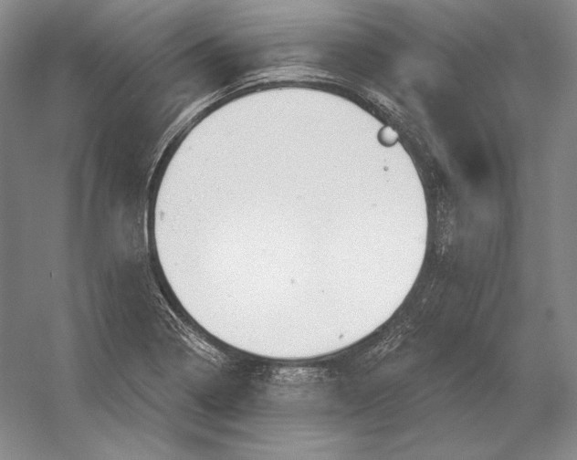 X0000052981322200508051030