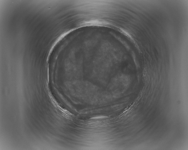 X0000052981323200508051031