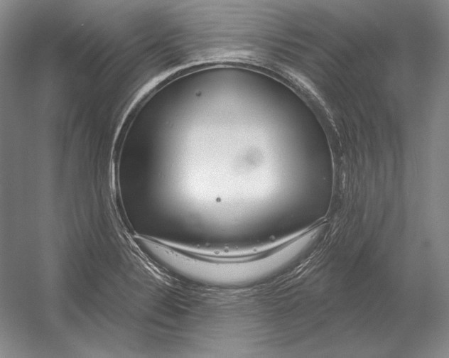 X0000052981324200508051031