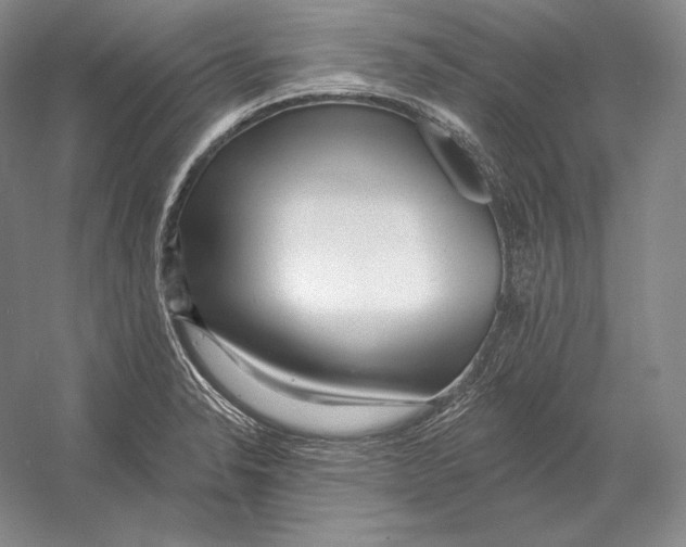 X0000052981326200508051031