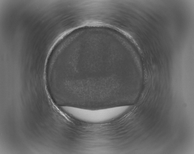 X0000052981327200508051031