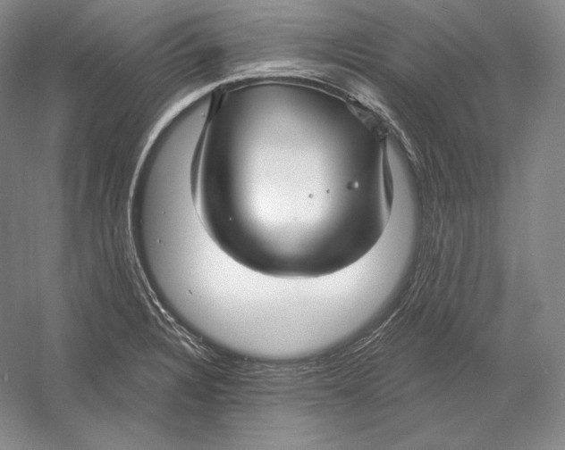 X0000052981328200508051031