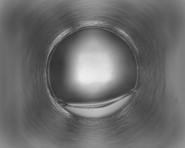 X0000052981330200508051031