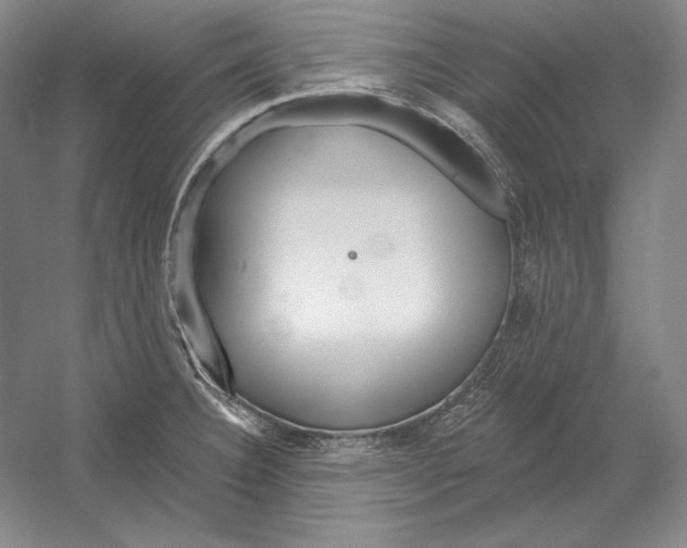 X0000052981332200508051031