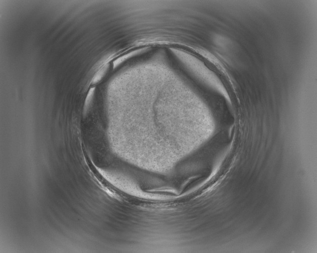 X0000052981337200508051031