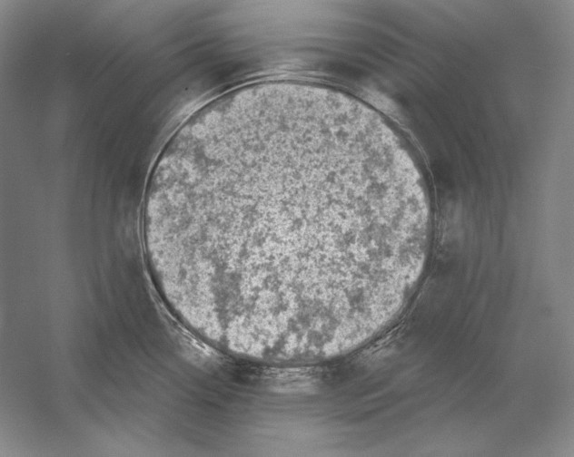 X0000052981338200508051031