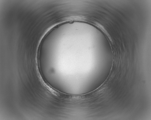 X0000052981339200508051031