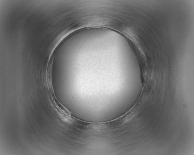 X0000052981340200508051031