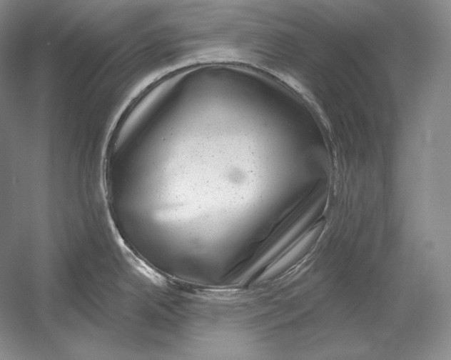 X0000052981342200508051031