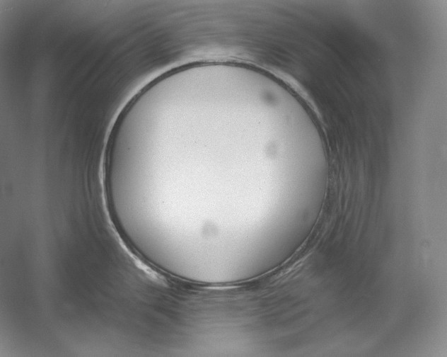 X0000052981343200508051031