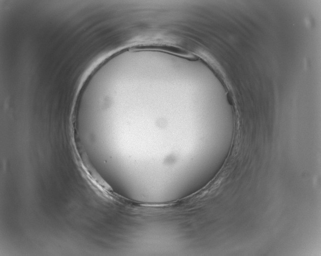 X0000052981344200508051031