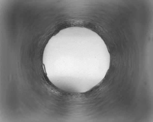 X0000052981345200508051030