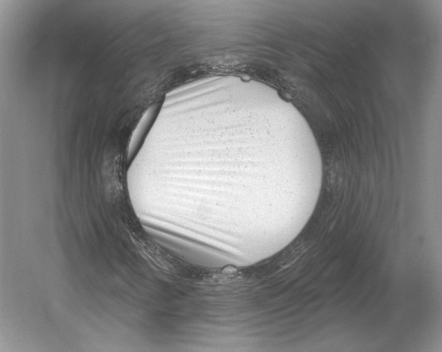 X0000052981346200508051030