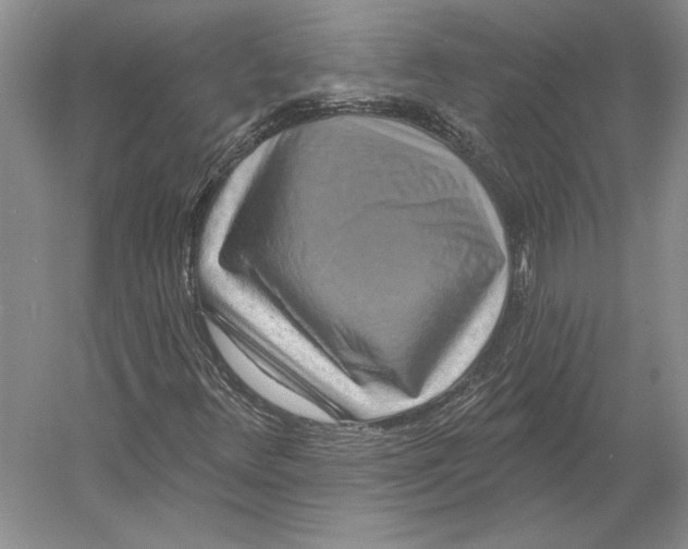 X0000052981348200508051030