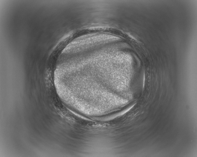 X0000052981351200508051030