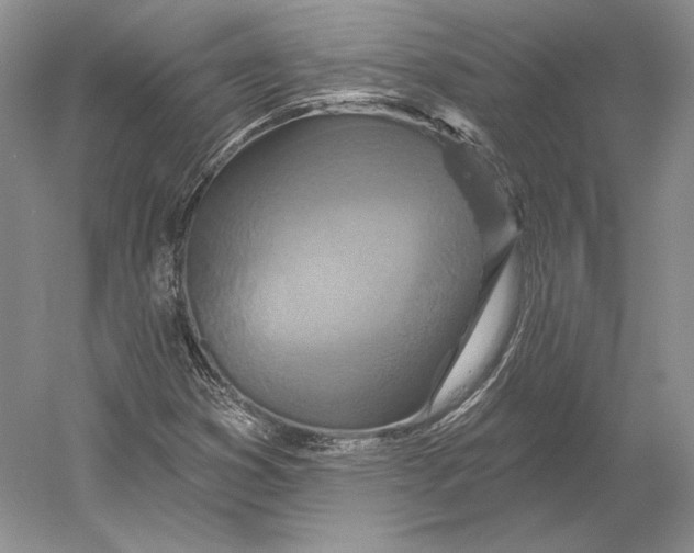 X0000052981353200508051030