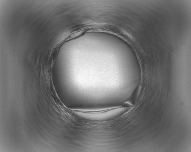 X0000052981354200508051030