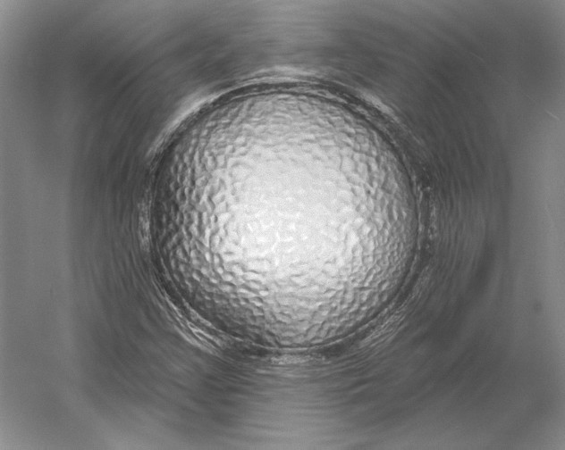 X0000052981355200508051030