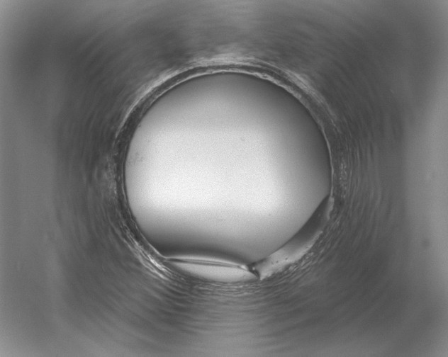 X0000052981356200508051030